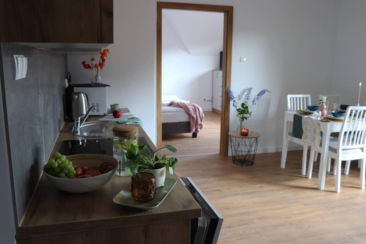 Apartamenty Pardalowka 50 자코파네 외부 사진