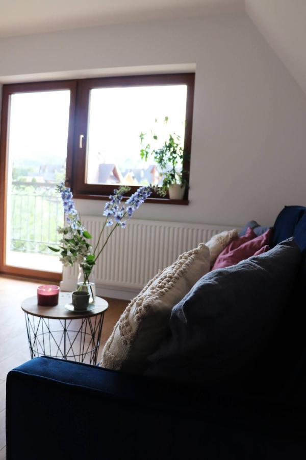 Apartamenty Pardalowka 50 자코파네 외부 사진