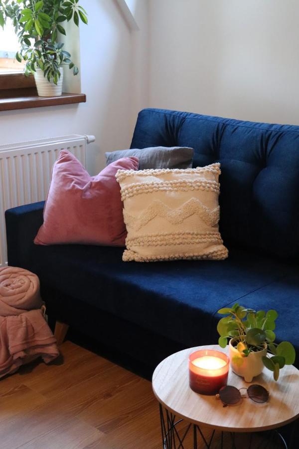 Apartamenty Pardalowka 50 자코파네 외부 사진