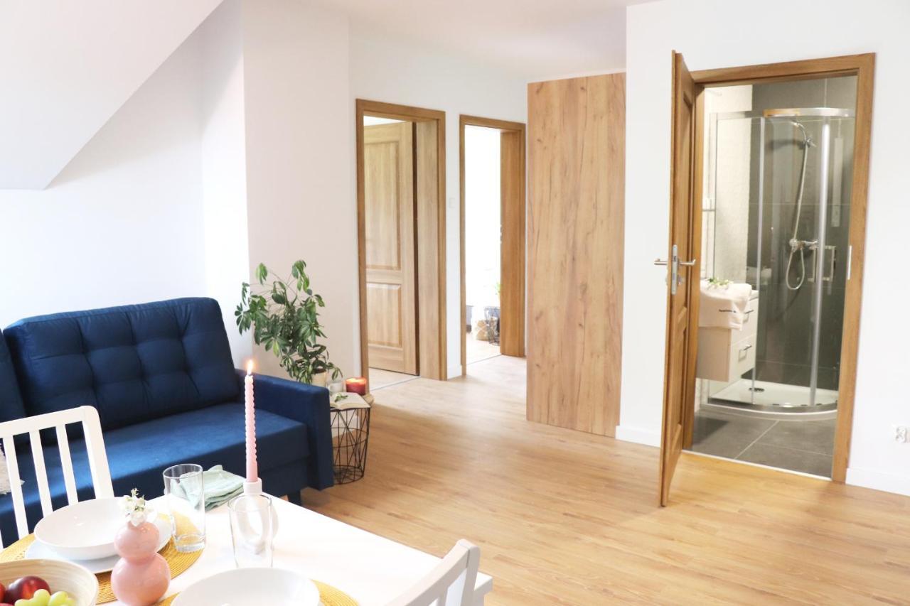Apartamenty Pardalowka 50 자코파네 외부 사진