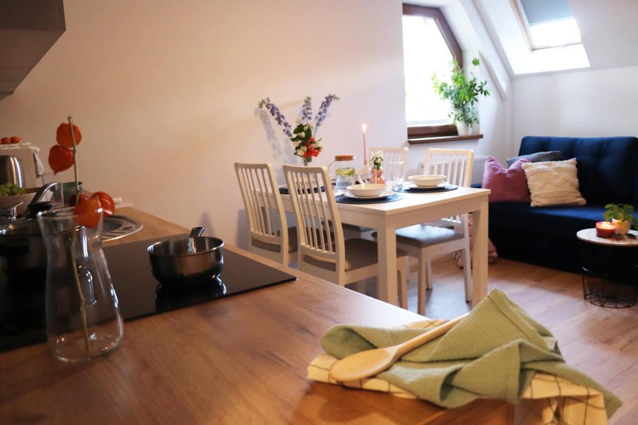 Apartamenty Pardalowka 50 자코파네 외부 사진